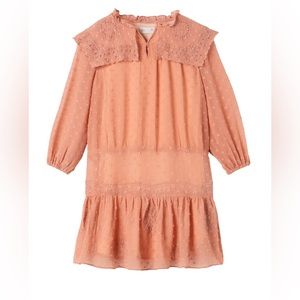 Zara Kid’s EMBROIDERED SWISS DOT DRESS